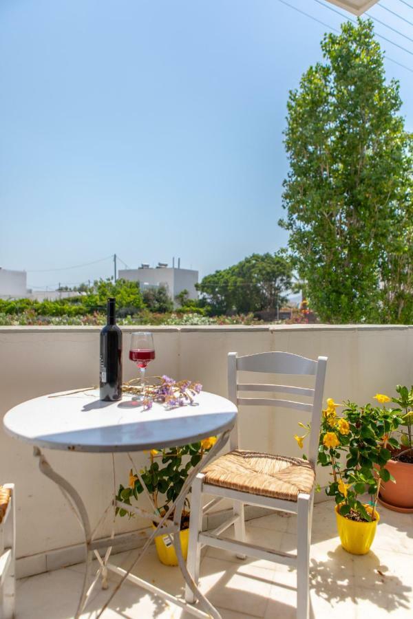Apanemi Beachhouse Naxos City Exterior photo